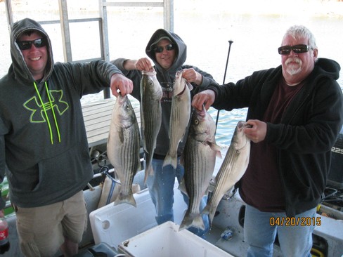 Nice Striped Bass